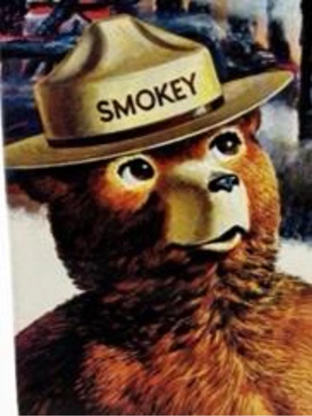 Official Vintage Smokey Bear Plastic Park Ranger Costume Hat